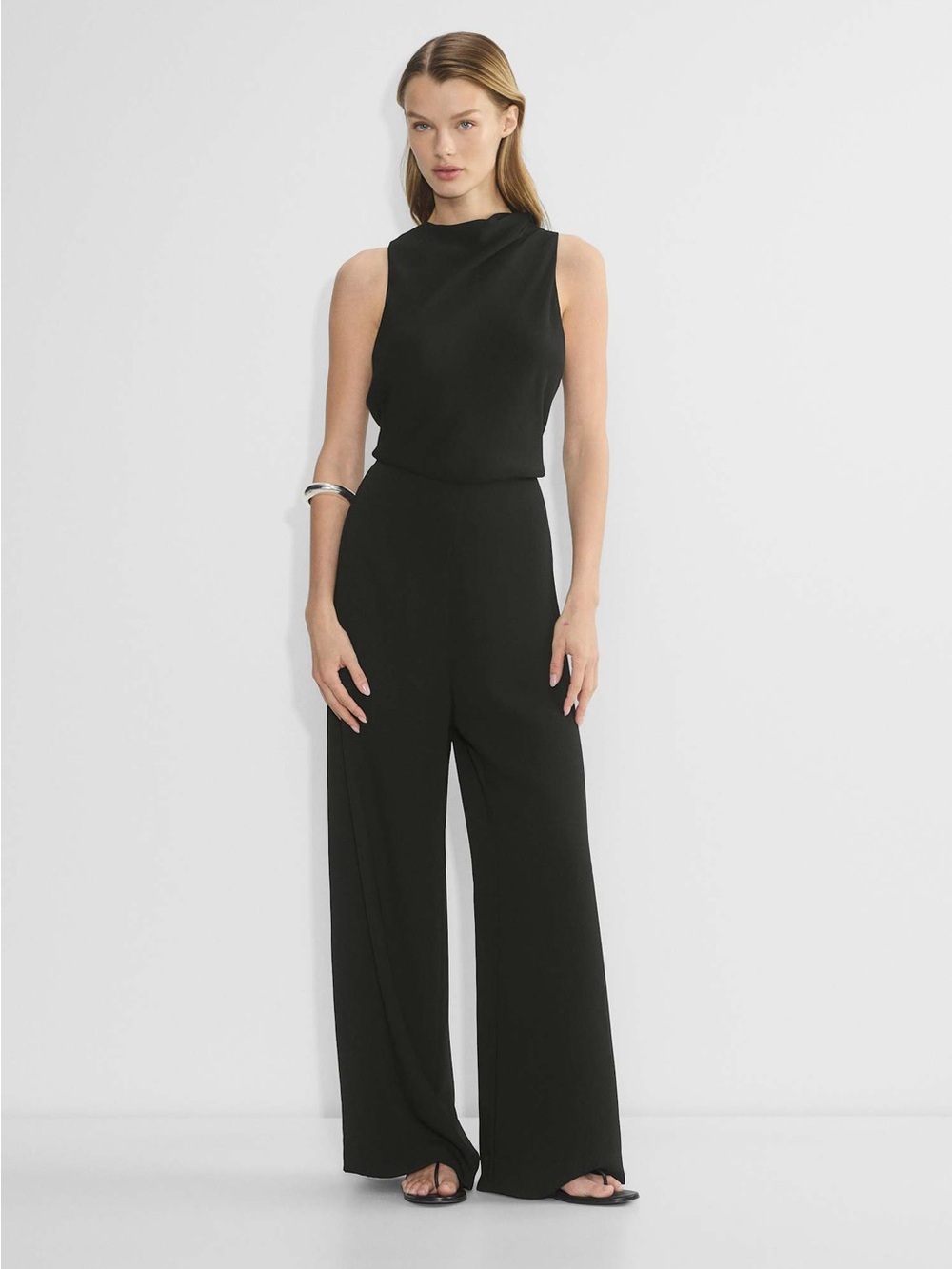 Aritzia Babaton Property Jumpsuit